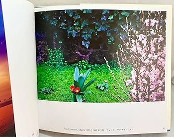 Amazon.co.jp: 池田大作写真集 花謳う 押印入り 創価学会